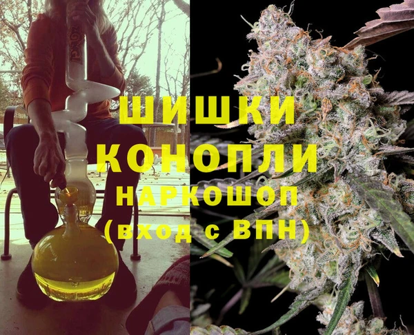 ПСИЛОЦИБИНОВЫЕ ГРИБЫ Осинники